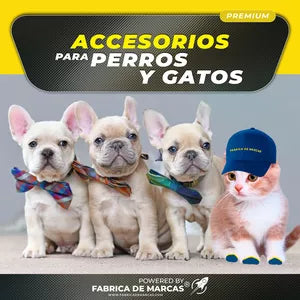 TODO PARA PERROS Y GATOS